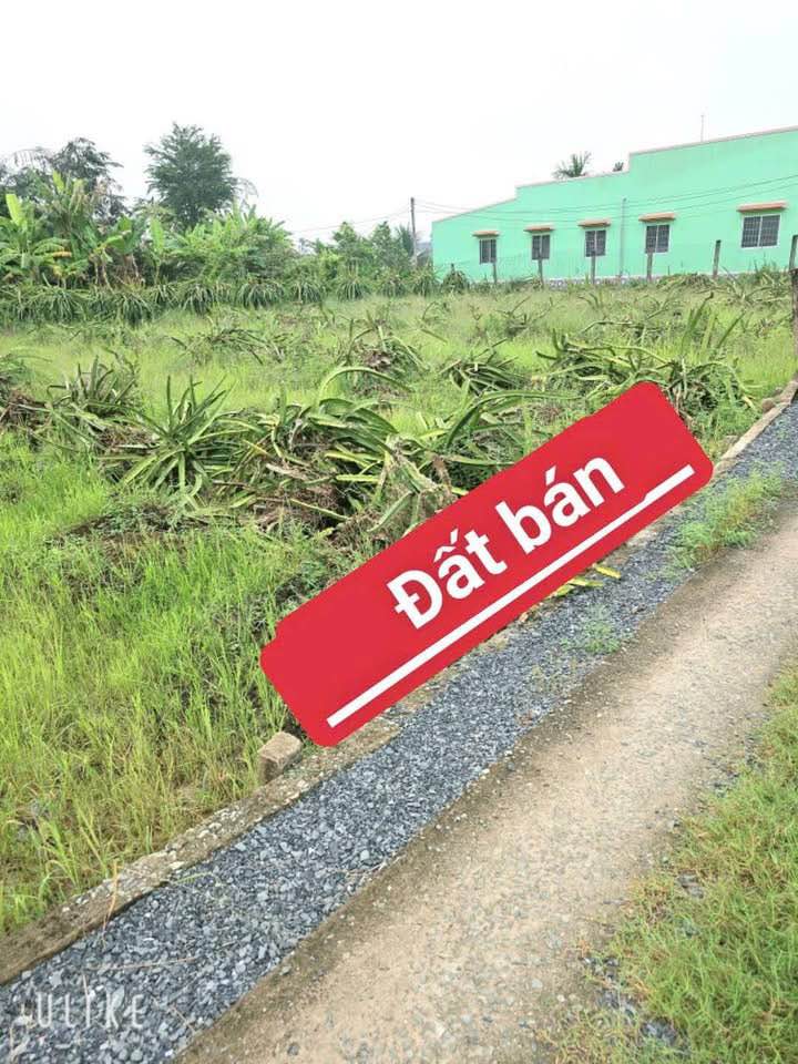 Đất lúa 1800m² An Lục Long, Châu Thành, Long An - Giá chỉ 780 triệu!