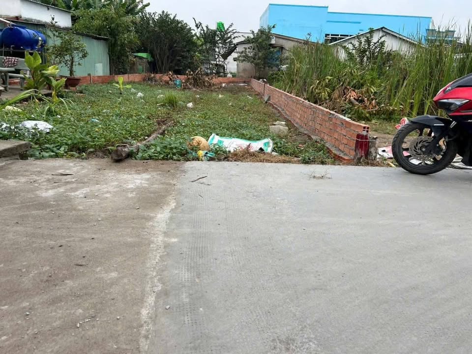 Đất thổ cư 202m² tại ấp Thanh Ba, xã Mỹ Lộc - Giá chỉ 1.55 tỷ, xây dựng tự do!