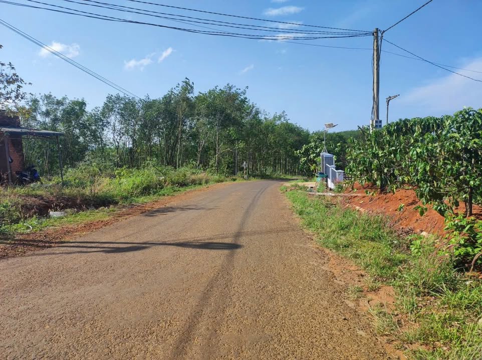 Đất thổ cư 2000m² tại Đắk Wer, Đắk R'Lấp, giá 1.5 tỷ - Cơ hội đầu tư tuyệt vời!