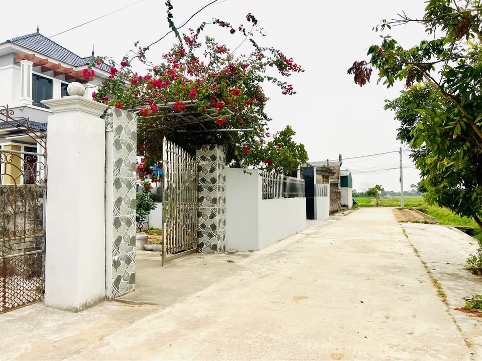 Đất Vũ Lạc, Thái Bình 60m² giá 800 triệu - View cánh đồng, giao thông thuận lợi!