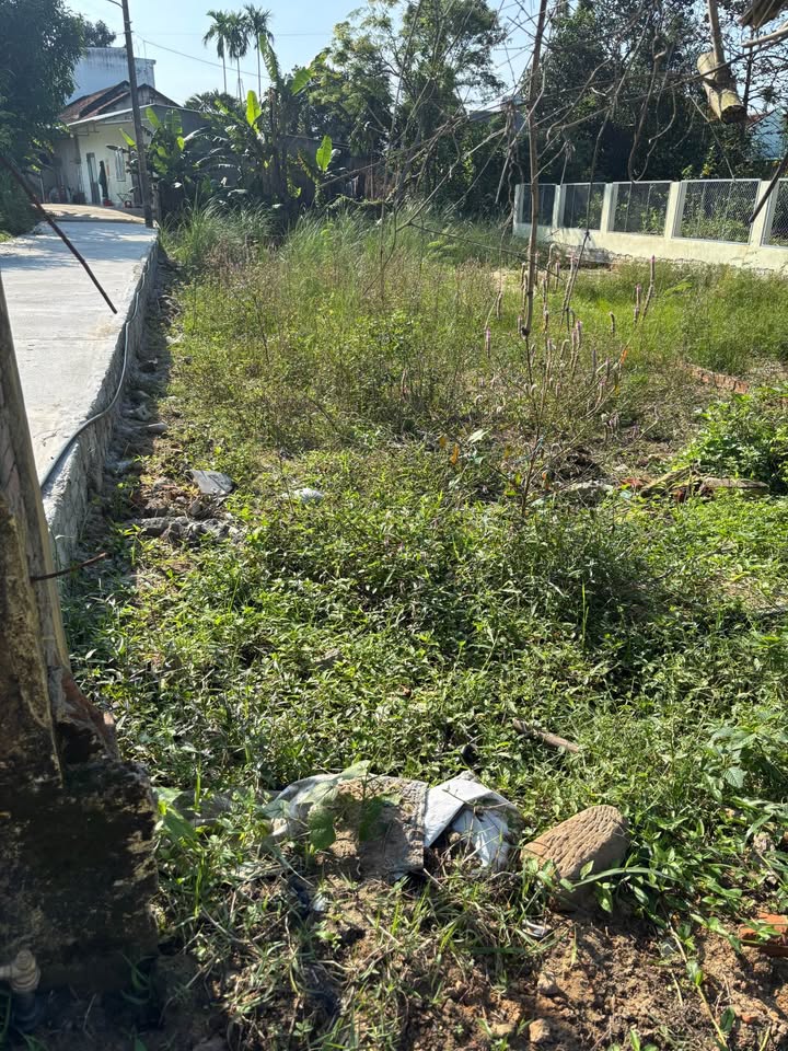 Lô đất góc Mai Đăng Chơn Đà Nẵng 113m² giá thỏa thuận - Đầu tư sinh lời cao!