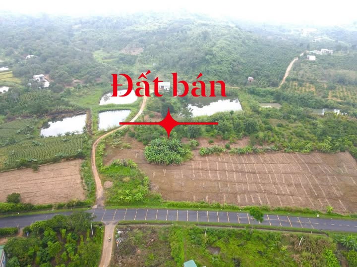 Đất thổ cư 19.245m² tại Thôn Xuân Thanh, Krông Năng - Đầu tư sinh lời ngay gần Quốc lộ 29!