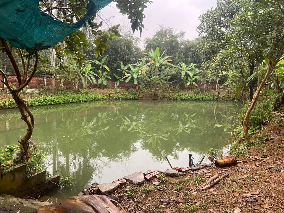 Đất thổ cư 2016m² tại Thôn Lập Thành, Quốc Oai - Giá chỉ 20.16 tỷ!