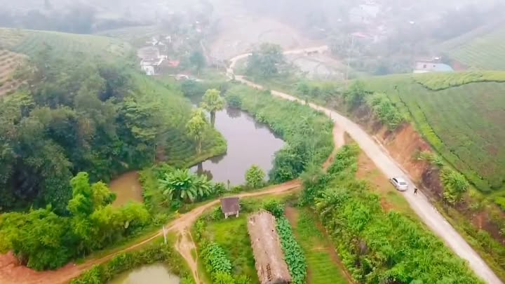 Đất nghỉ dưỡng Long Cốc Tân Sơn 601m² giá 500 triệu - Cơ hội đầu tư hiếm có!