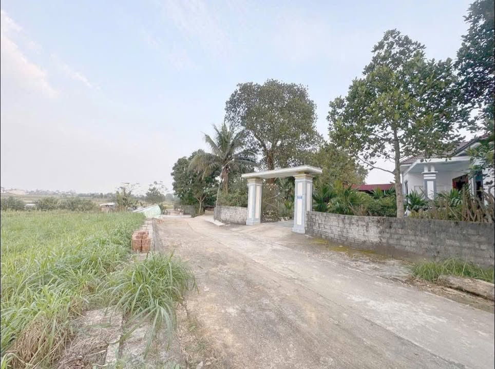 Đất thổ cư Thọ Cường, Triệu Sơn 500m² - Mặt bằng sạch, tiện ích đầy đủ!