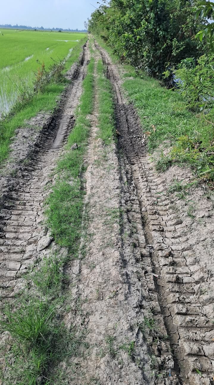 Đất Vọng Thê Thoại Sơn 15 công giá 4.5 tỷ - Cơ hội đầu tư tuyệt vời!