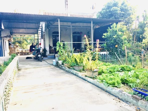 Nhà cấp 4 tại thôn Hồng Cúm, xã Thanh An, 1.600m² - Giá Thỏa Thuận, Đường Rộng Ô Tô Đỗ Cửa!