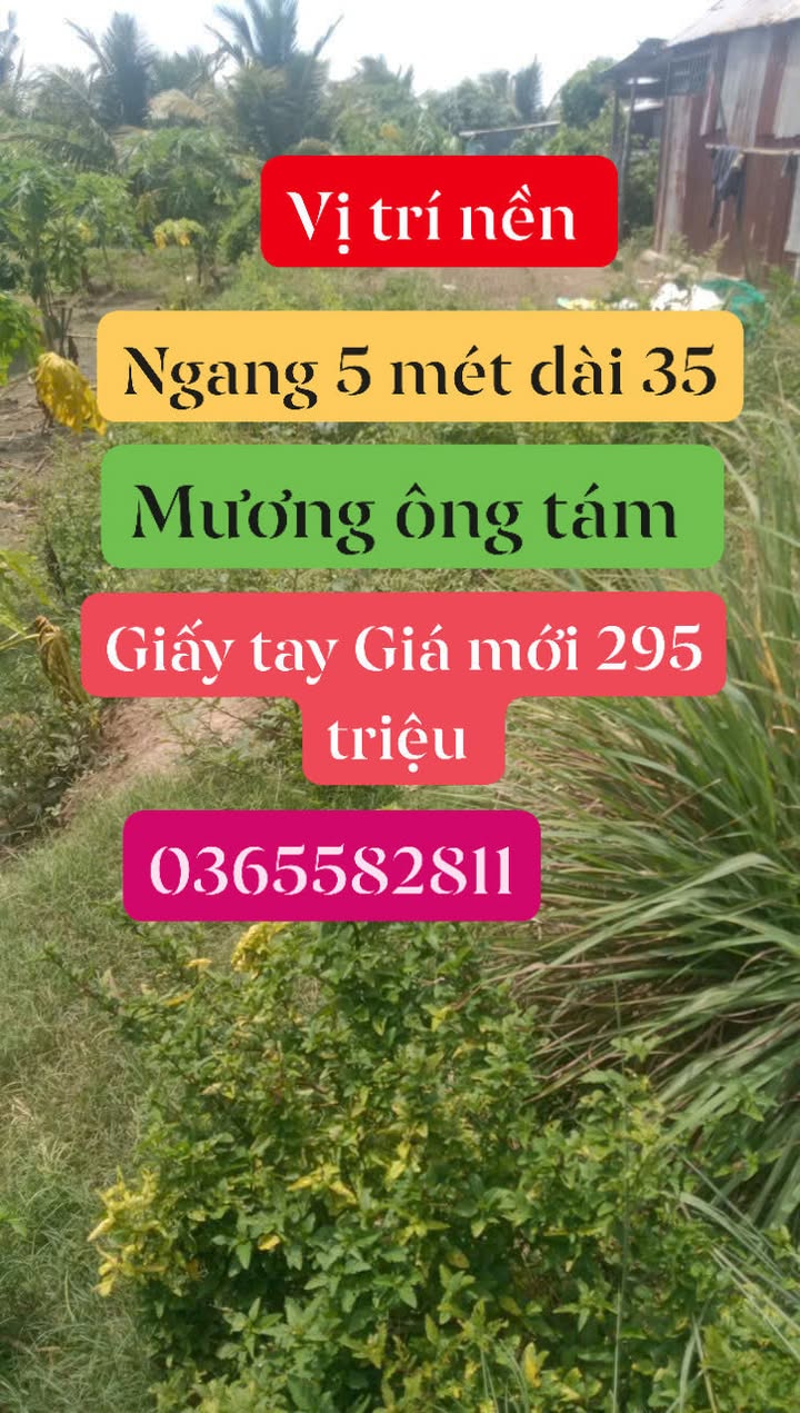 Đất nền Quốc Hưng An Phú 165m² giá chỉ 295 triệu - Cơ hội đầu tư hấp dẫn!