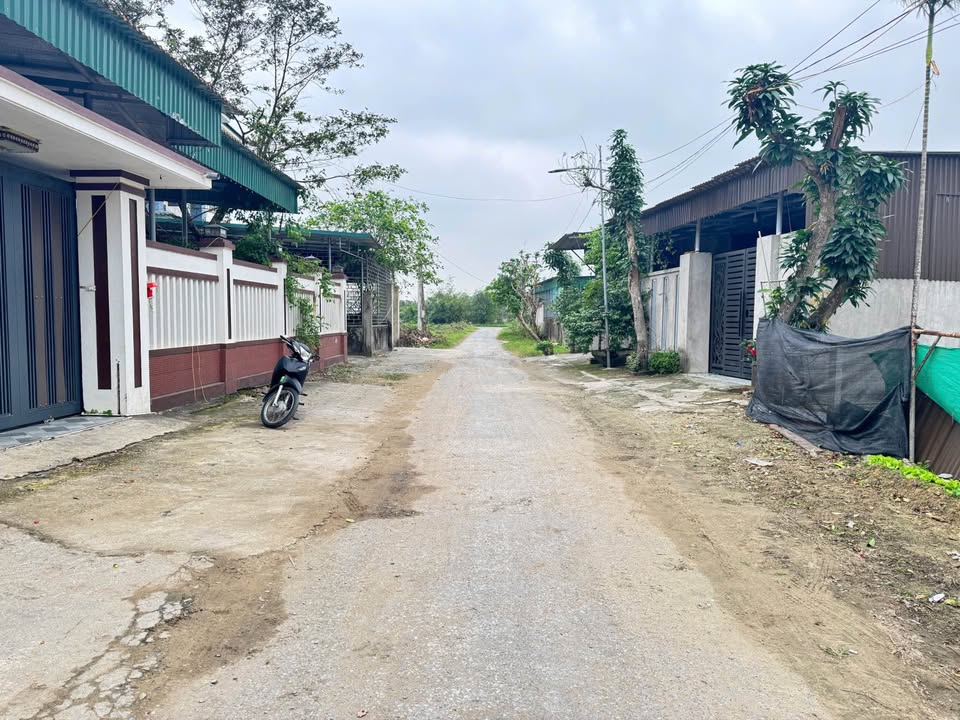 Đất nền xóm Thái Thọ, Nghi Thái 203m² giá 3.12 tỷ - Vị trí đắc địa, giao thông thuận lợi!