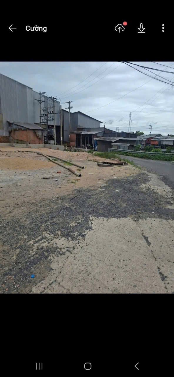 Đất mặt tiền xã Bình Thạnh Đông, Phú Tân, An Giang 1000m² - Giá chỉ 4 triệu/m², đầu tư sinh lời!