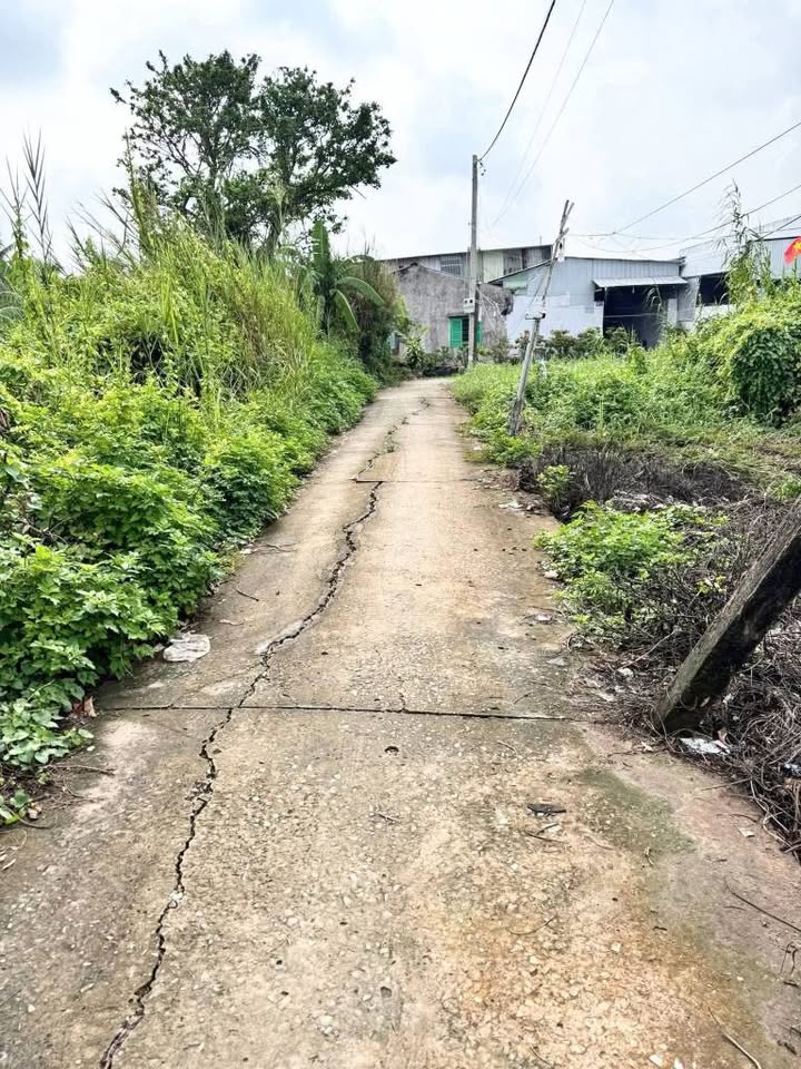 Đất thổ cư phường Long An, TP Tân An 100m² giá 780 triệu - Đầu tư sinh lời ngay!