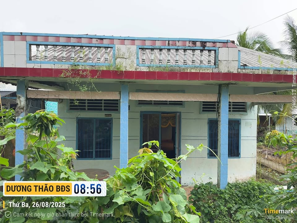 Đất nền xã Đại Thành - Ngã Bảy, Hậu Giang 240m² giá chỉ 650 triệu - Đầu tư sinh lời ngay!