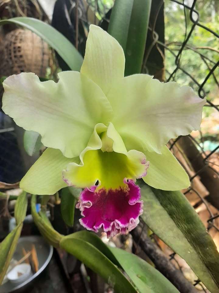 Đất nền Bình Thủy Cần Thơ 1700m² giá 1.7 tỷ - Cơ hội đầu tư tuyệt vời!