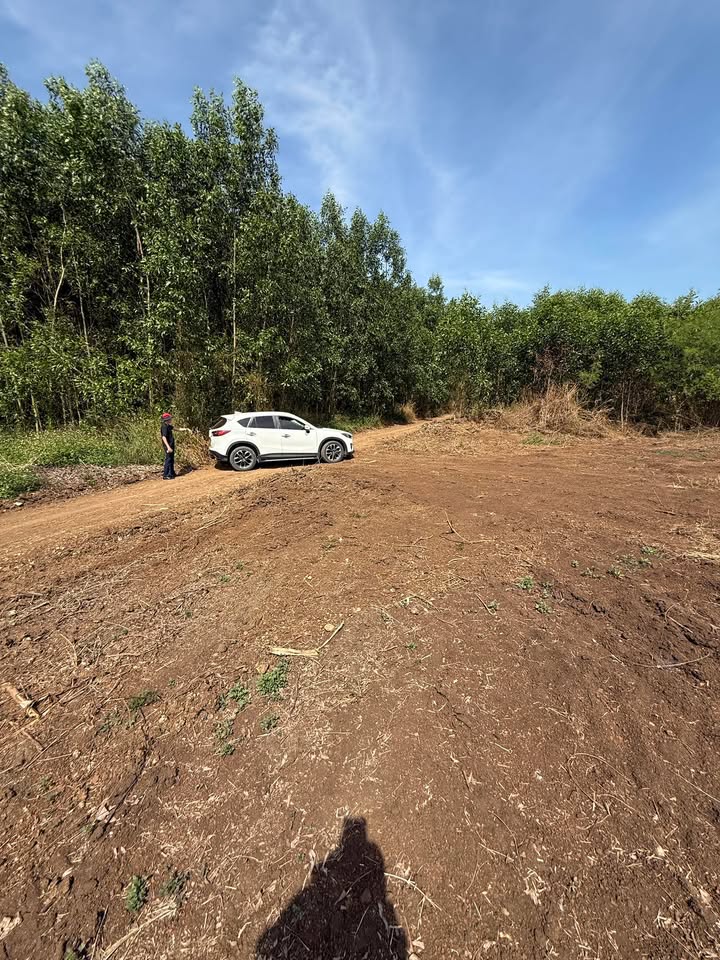 Đất nền Xuân Đông, Cẩm Mỹ 2000m² giá 720 triệu - Mặt tiền rộng, đầu tư sinh lời!