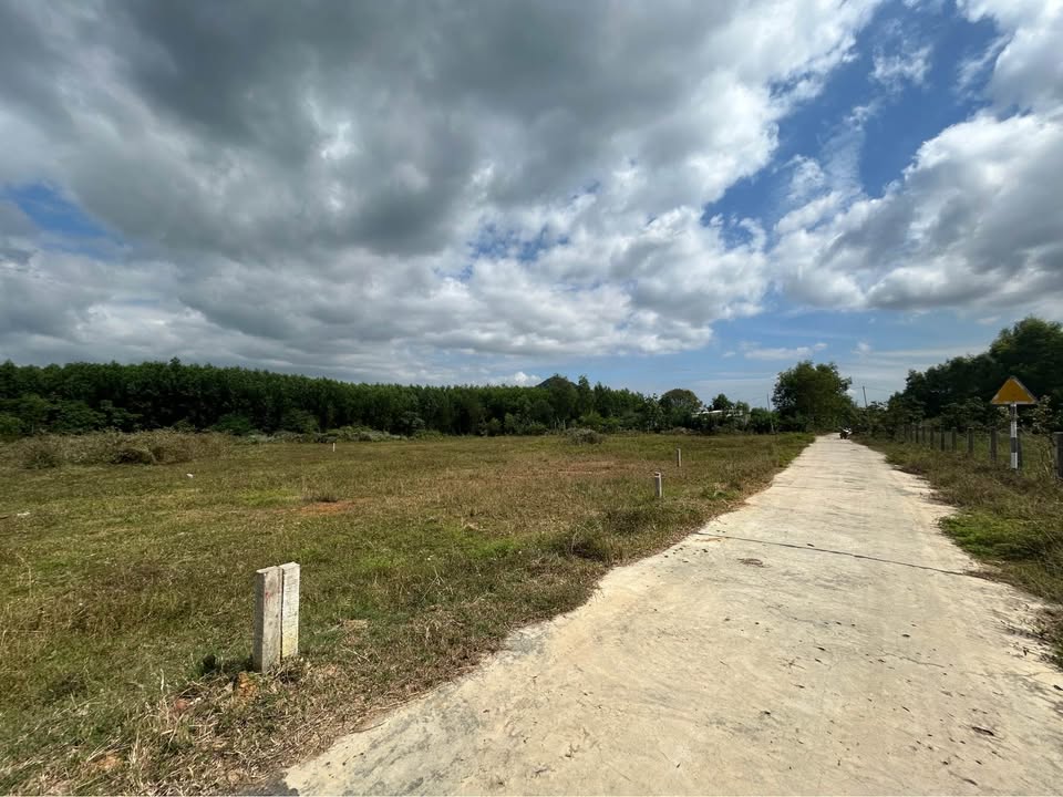 Đất thổ cư Ninh Tân, Ninh Hòa 1262m² - Giá chỉ 1.5 tỷ, sẵn sàng đầu tư!