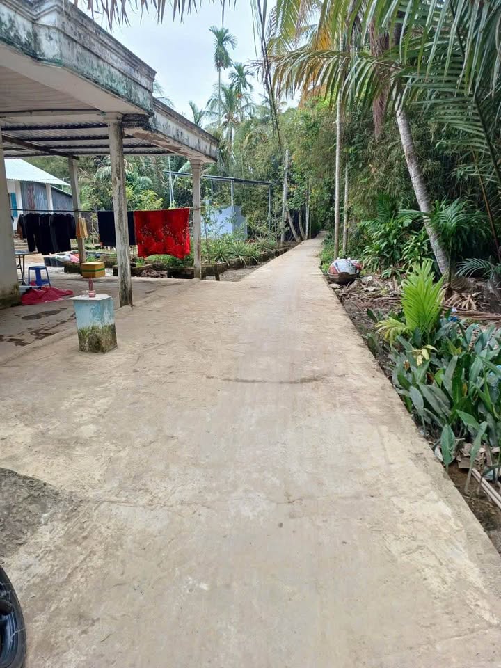 Đất CLN 500m² tại Hưng Phú, Cái Răng chỉ 1.55 tỷ - Cơ hội đầu tư tuyệt vời!