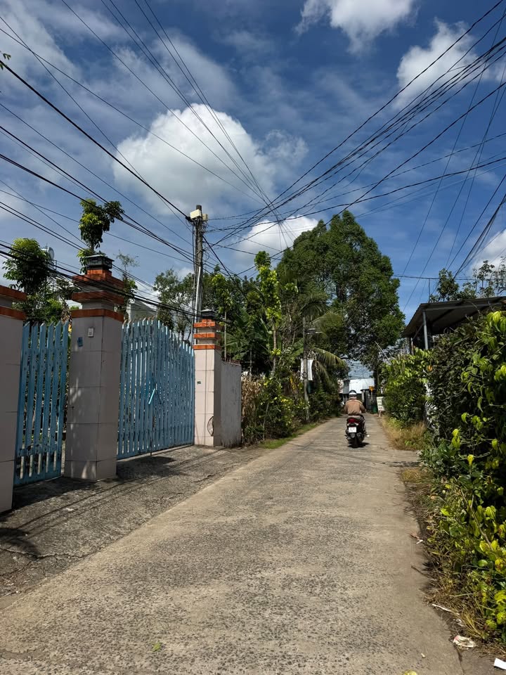 Nhà cấp 4 Trảng Bom 159m² giá 1.8 tỷ - Vị trí gần nhà thờ Bích Lâm!