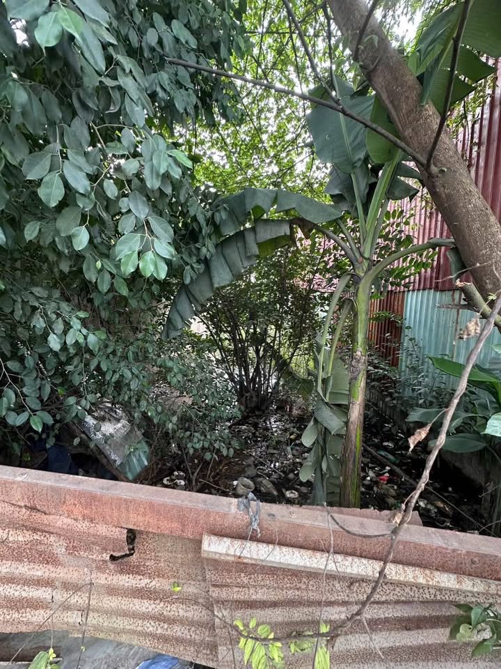 Đất nền Vĩnh Lộc A, Bình Chánh 150m² giá 1.8 tỷ - Đầu tư lý tưởng!