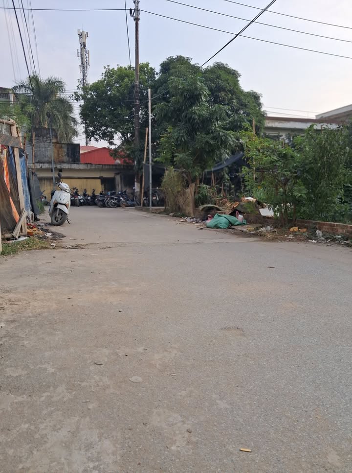 Đất nền Sơn Đồng, Hoài Đức 50m² giá thỏa thuận - Lô góc 2 mặt tiền siêu hiếm!