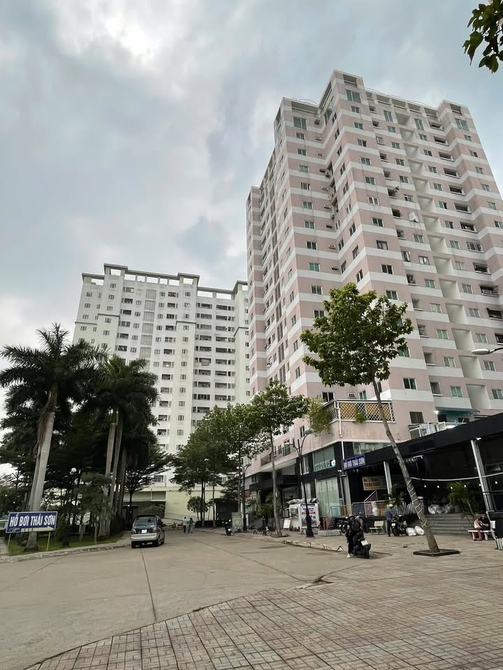 Chung cư Thái Sơn Tân Tạo 62m² giá 2.2 tỷ - Sổ hồng lâu dài, nội thất mới!