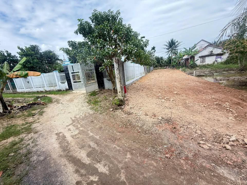 Đất thổ cư Ninh Lộc 144m² giá chỉ 300 triệu - Cơ hội đầu tư tuyệt vời!