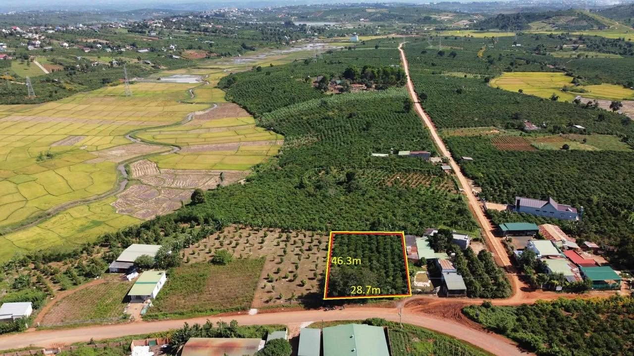 Đất nền Bảo Thuận Di Linh 200m² giá 3.95 tỷ - Mặt tiền đường nhựa rộng rãi!