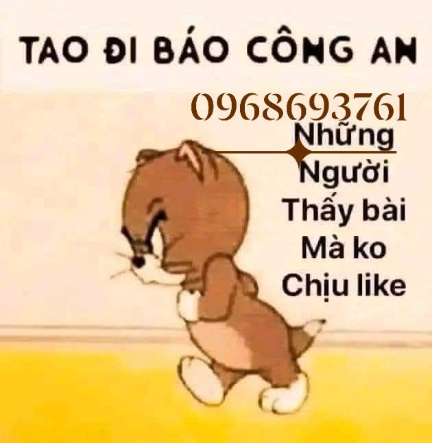 Đất nền khu phố 12, Nghi Kiều 451m² giá 1 tỷ - Cơ hội đầu tư hấp dẫn!