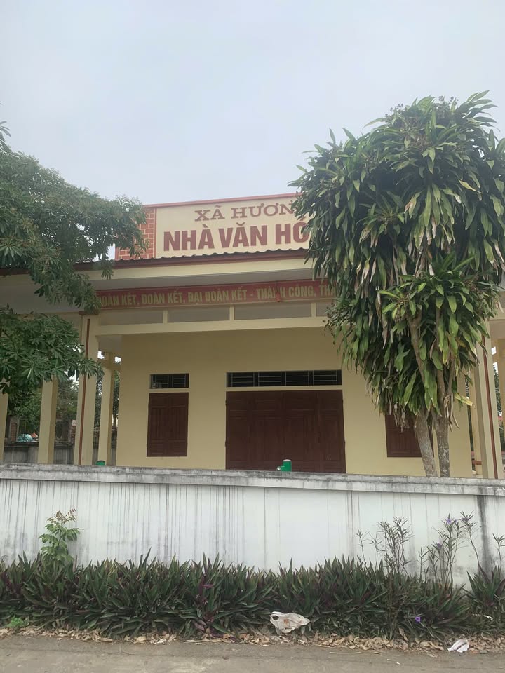 Đất nền Hương Nộn, Tam Nông 160m² giá 1 tỷ - Sổ hồng chính chủ, khu dân cư đông đúc!