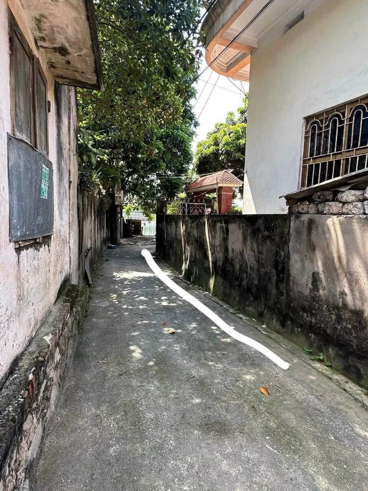 Nhà 1 tầng tại phường Lam Hạ, TP Phủ Lý 85m² giá 800 triệu - Đầu tư sinh lời lý tưởng!