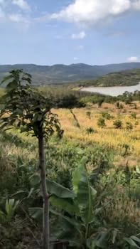 Đất nền 1.7ha tại Quảng Tân, Tuy Đức - Giá tốt 11 tỷ VND, khu vực yên tĩnh!