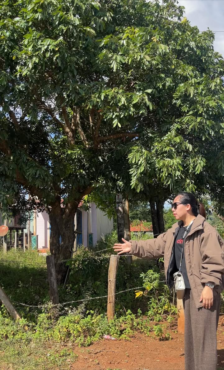 Đất nền Kon Chiêng 640m² giá 600 triệu - Đầu tư sinh lời ngay!