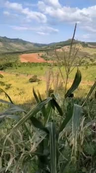 Đất nền Quảng Tân, Tuy Đức 1700m² giá 11 tỷ - Kinh doanh sinh lời