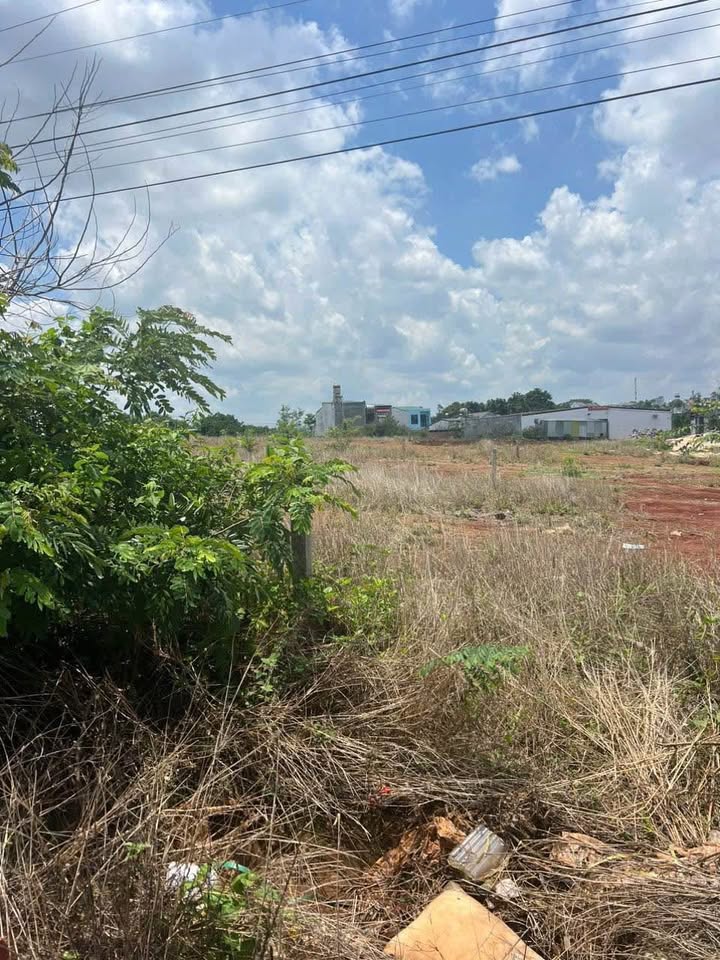 Đất mặt tiền Phùng Hưng, Vạn Xuân, 135m² giá 2.8 tỷ - Đầu tư lý tưởng!