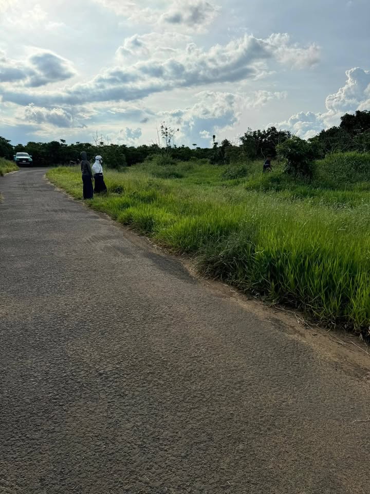 Đất thổ cư mặt tiền đường 19, xã Lộc An, 100m² chỉ 430 triệu - Cơ hội đầu tư tuyệt vời!