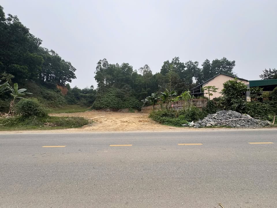Lô đất Tỉnh lộ 314, Đông Thành, Thanh Ba 555m² giá chỉ 2 tỷ - Cơ hội đầu tư tuyệt vời!