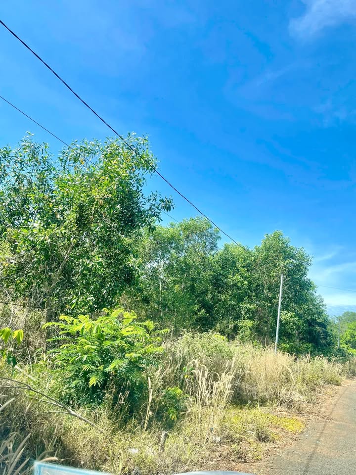 Đất nền Tiến Thành, Đồng Xoài 258m² giá 535 triệu - Cơ hội đầu tư tuyệt vời!