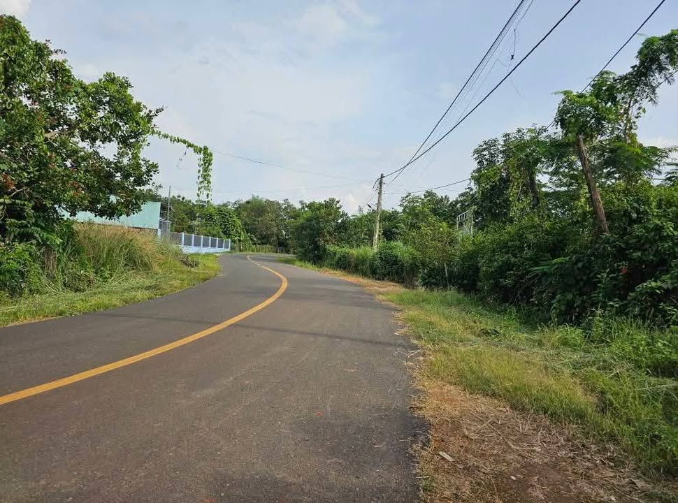 Đất nền 8300m² tại Ấp 3, Bù Đốp, chỉ 1.65 tỷ - Cơ hội đầu tư tuyệt vời!