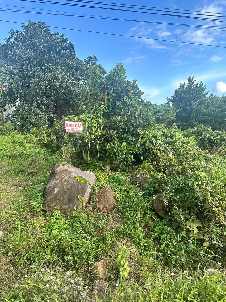 Đất nền Kông Yang, Kông Chro 1.895m² chỉ 720 triệu - Cơ hội đầu tư tuyệt vời!