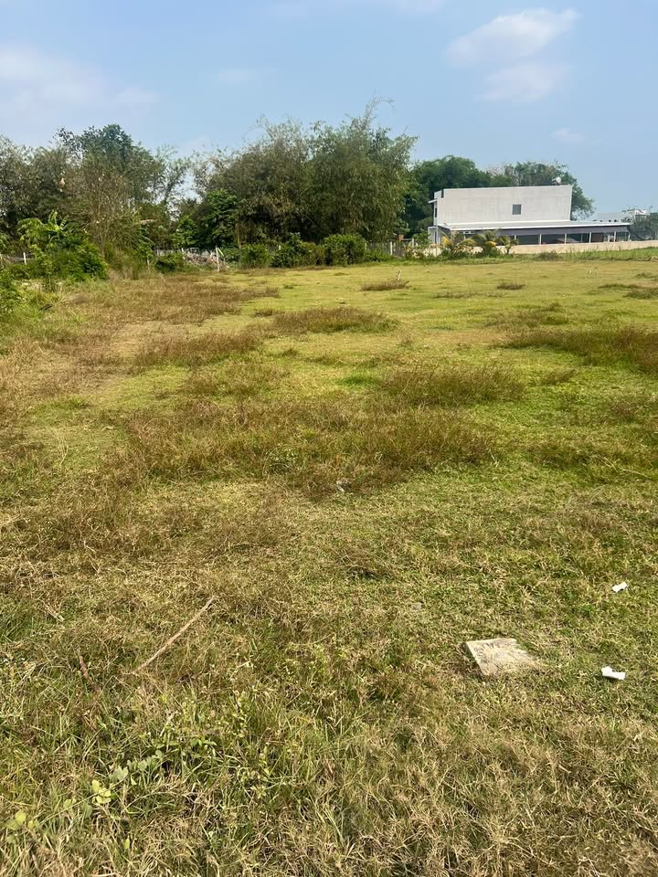 Đất nền 900m² xã Đức Hòa Thượng giá 4.3 tỷ - Phù hợp làm nhà vườn hoặc kho xưởng nhỏ!