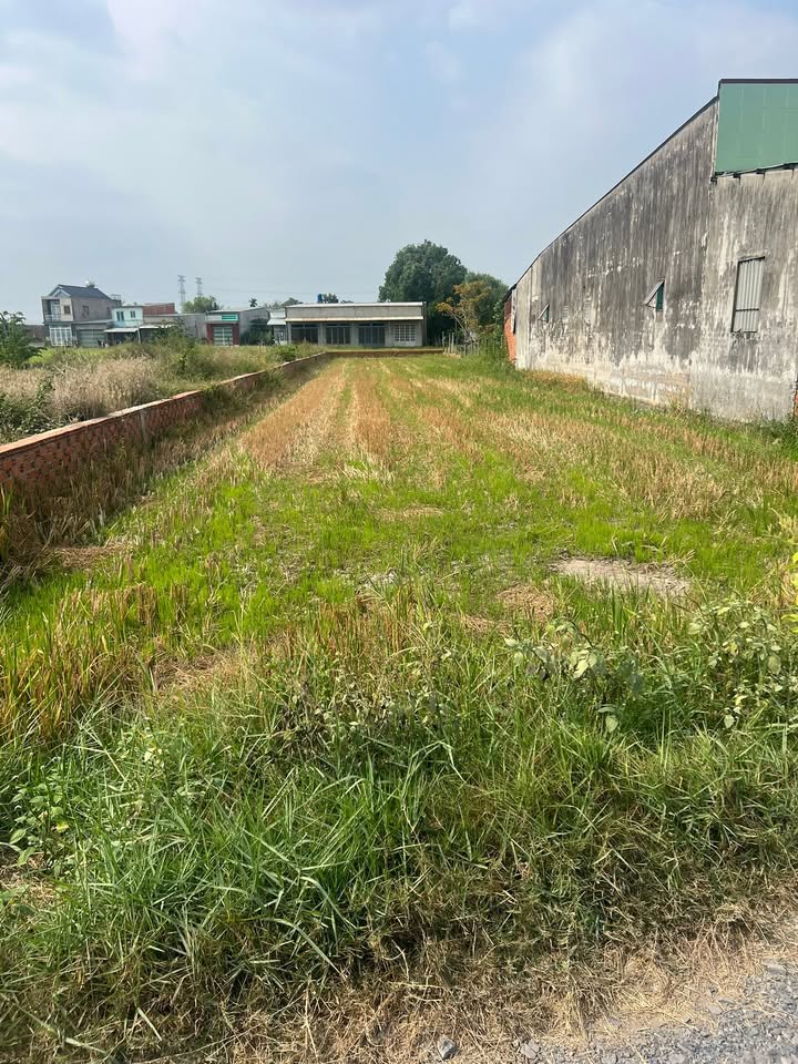 Đất thổ cư 672m² đường Đức Hòa Đông, giá 5 tỷ - Sổ hồng chính chủ