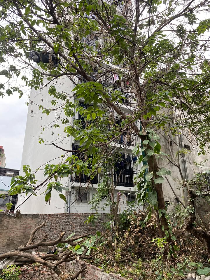 Đất nền quận Hoàng Mai 49m² giá 8 tỷ - Sổ đỏ chính chủ, vị trí kinh doanh đắc địa!