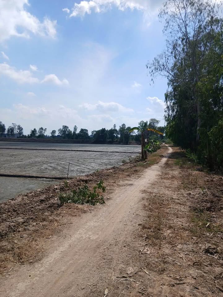 Đất nền Tân Công Sính 30.000m² giá 3.9 tỷ - Mặt tiền 49m, nở hậu 180m