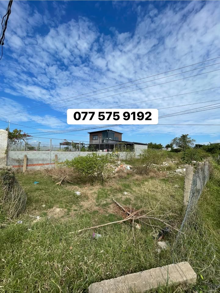 Đất vườn 500m² Ninh Phước Khánh Hòa giá chỉ 750 triệu - Cơ hội đầu tư sinh lời!