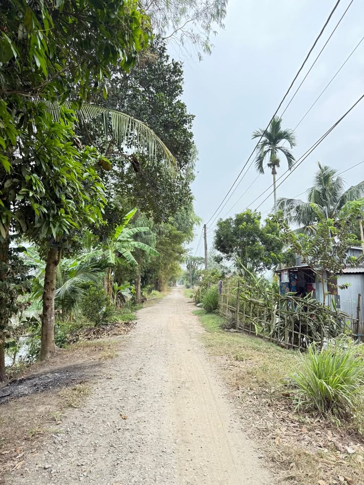 Đất nền Tây Phú, Thoại Sơn 7700m² giá 175 triệu - Đầu tư lý tưởng!