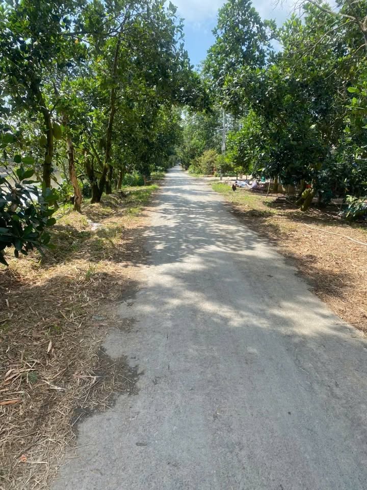 Đất nền Thạnh Mỹ Tây, Châu Phú 200m² - Giá mềm, thương lượng chính chủ!