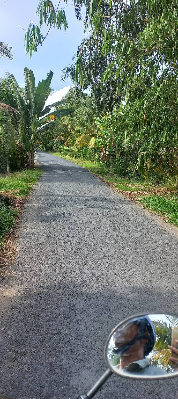 Đất nông nghiệp An Phú Thuận 2300m² giá 1.9 tỷ - Đầu tư sinh lời ổn định!