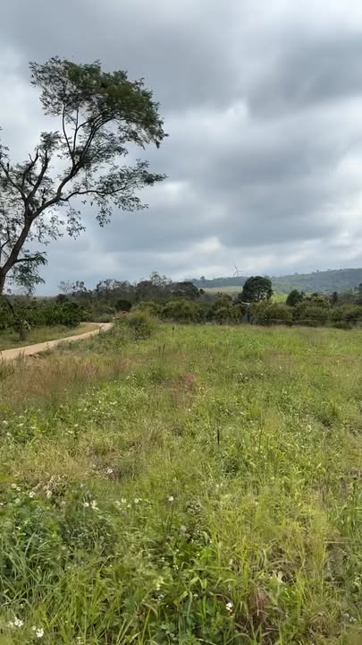 Đất nông nghiệp 3600m² tại Dliê Yang, Ea H'leo giá 180 triệu - Đầu tư sinh lời ngay!