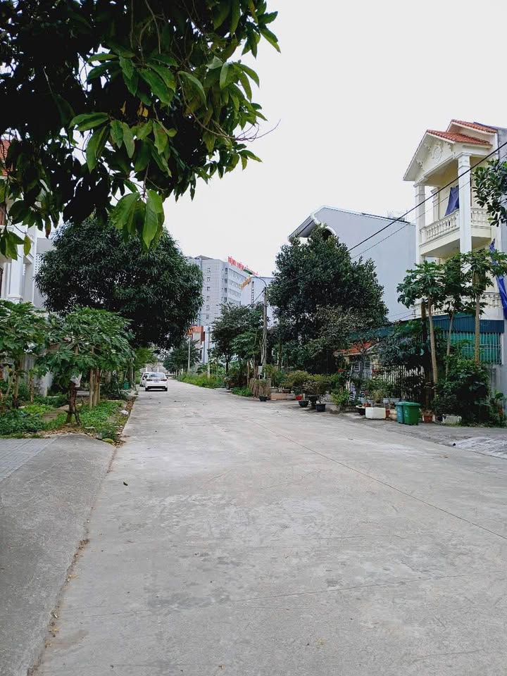 Đất nền ngõ 310 Lê Thái Tổ, Ninh Bình 109m² - Hướng Bắc, giá thỏa thuận!