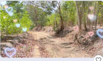 Đất Farm 40,000m² thôn An Bình, Sông Phan, Hàm Tân giá 9 tỷ - Cơ hội đầu tư tuyệt vời!