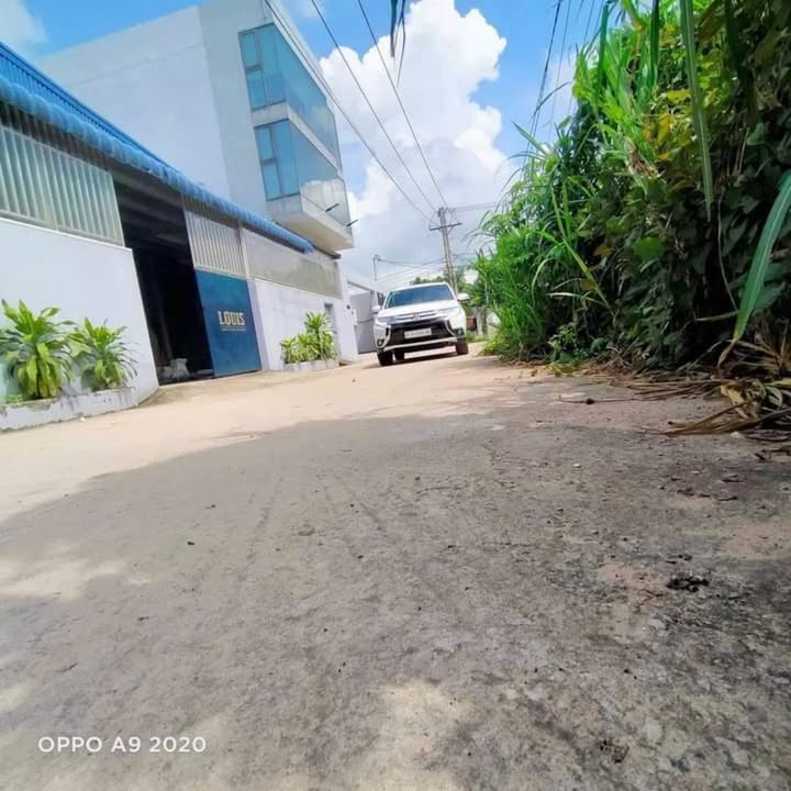 Đất thổ cư 105m² tại xã Tân Thạnh Đông, Củ Chi giá 1.65 tỷ - Cơ hội đầu tư hấp dẫn!